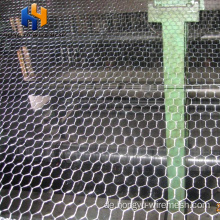Geflügelnetz Hühnchen niedrigste Preis Drahtgitter Philippinen